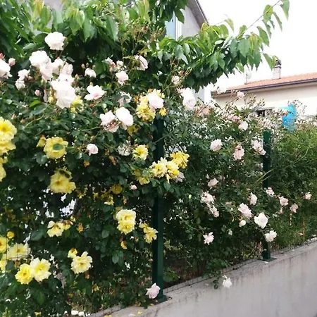 Mahalabb פודגוריצה